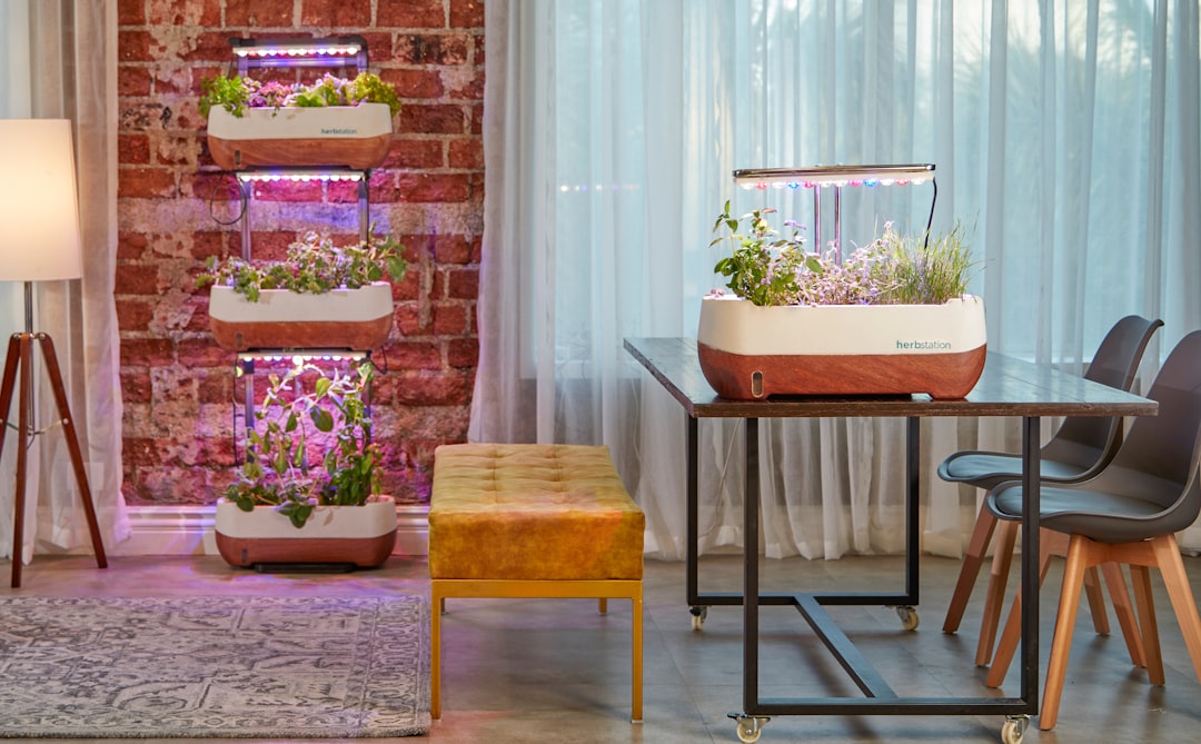 Photo Vertical gardens